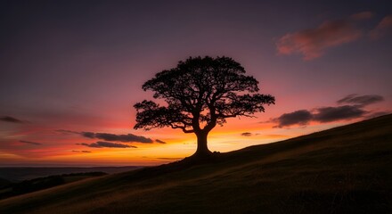 Silhouette of a tree on a hill against a vibrant sunset with colorful clouds in the sky above