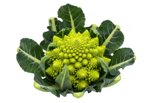 A vibrant romanesco broccoli, a fractal vegetable, isolated on transparent background, showcasing its unique geometric patterns and green leaves