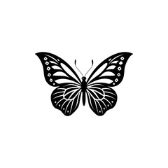 butterfly on white background