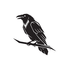 Obraz premium Perched Raven Silhouette on a Branch