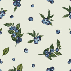 Blueberry vector seamless pattern illustration juicy blueberries vintage style