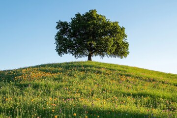A solitary tree stands tall on a hilltop, surrounded by a vibrant meadow of wildflowers under a clear blue sky.