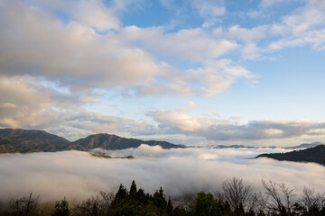 兵庫県朝来市の竹田城と雲海