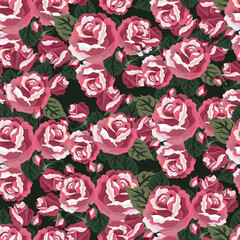 Pink and white roses with dark green leaves seamless pattern floral background