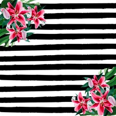 Pink lilies and green leaves on black and white striped background pink lily flower