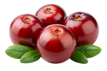  cranberries isolated on transparent white background full depth of field clipping path