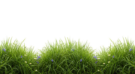 Border of lush green grass with small blue, white, and yellow wildflowers, isolated on transparent background.