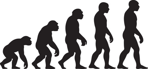 Theory of evolution of man silhouette