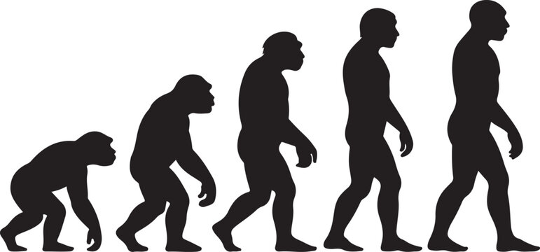 Theory of evolution of man silhouette