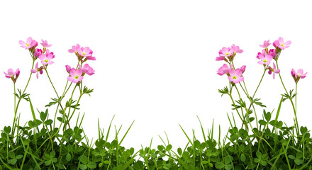 Symmetrical pink flowers and clover-like grass forming a border, isolated on transparent background.