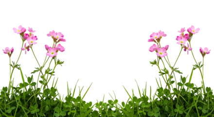Symmetrical pink flowers and clover-like grass forming a border, isolated on transparent background.