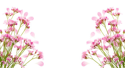 Symmetrical tall pink flowers with falling petals framing the center, isolated on transparent background.