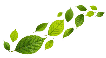 Scattered green leaves flowing diagonally upward and to the right, isolated on transparent background.