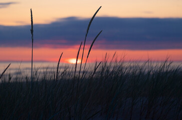 A baeuriful pink sunrise over the Baltic Sea. Summer morning at the beach. Latvia, Europe.
