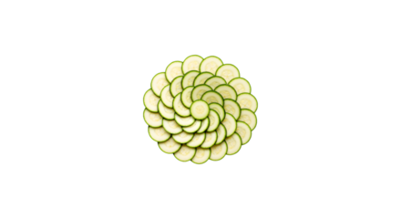 Zucchini slices arranged in geometric spiral design on black