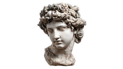 Title: Ancient Greek and Roman Marble Bust Sculpture Isolated on White Background