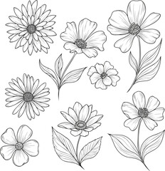Isolated a kinds of deferent flower sketch vector, hand drawn flowers line art, abstract art, decorative love, fresh life nature vector art with white background.