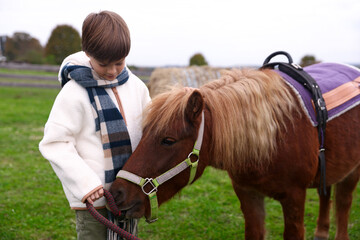 Equine assisted therapy. Little boy with beautiful pony outdoors. Lovely domesticated pet