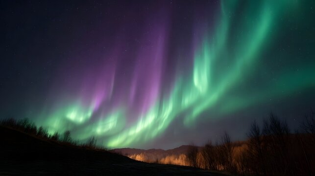 Vibrant green and purple aurora borealis dancing in the starry night sky over a silhouetted landscape - Powered by Adobe