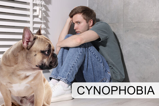 Scared man suffering from cynophobia in room. Pathological fear of dogs