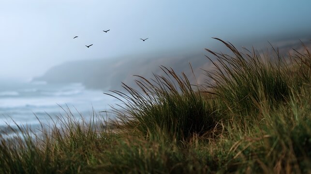 Misty coastal landscape with wind swept grasses and birds flying over the ocean - Powered by Adobe