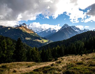Obraz premium A scenic vista showcasing mountainous terrain under a partly cloudy sky. The foreground has dry grasses and forest, with snow-capped peaks