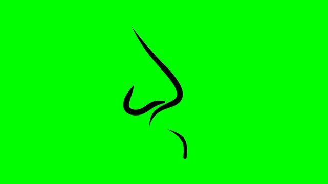 Cartoon animation of a breathing nose with a green screen background. Simple and repetitive animation design.