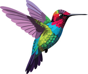 Colorful hummingbird in flight, vibrant tropical bird artwork, exotic wildlife vector, gradient feather design, cad drawing flat vector illustration © Mst