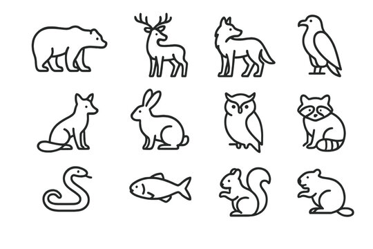 National Park Wildlife Icons. National park wildlife. Line outline icon set of national park wildlife: bear,