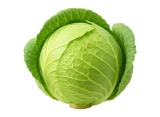 Obraz premium Cabbage Isolated on White Background with Clipping Path and Full Depth of Field