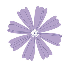 Hand drawn purple cosmos flower illustration for ornament and stickers
