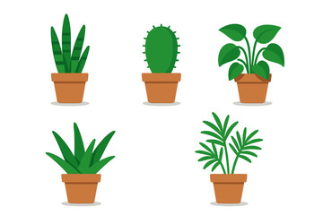 Set of five popular green houseplants in terracotta pots on a white background