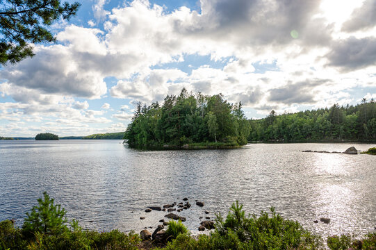 Sicht auf kleine Insel mit B&auml;umen im Immeln See &ndash; idyllischer Sommertag in Sk&aring;ne, Schweden