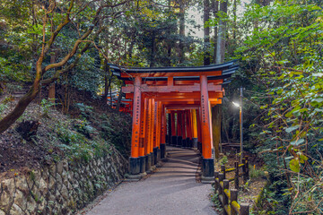 Fushimi Inari Shrine Torii Gates in Kyoto, Japan