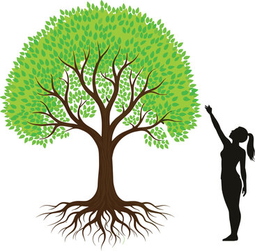 symbol, grk, botanical vector design, rooted tree illustration, person reaching tree, lush canopy vector, ecological awareness icon, tree with roots, human scale contrast, outdoor nature concept