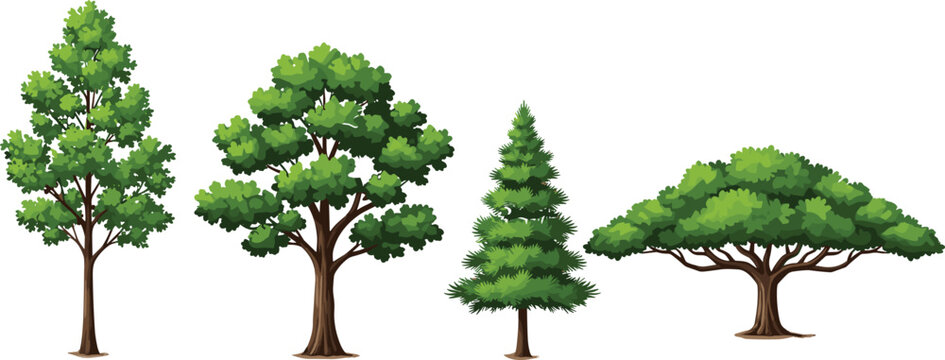 Realistic Trees Images – Browse 689,920 Stock Photos, Vectors, and ...