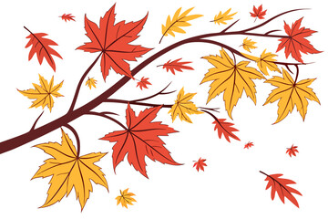 Fototapeta premium autumn leaves isolated on white