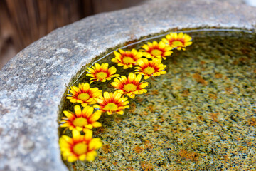 石鉢に浮かべられた鮮やかな黄色い花
