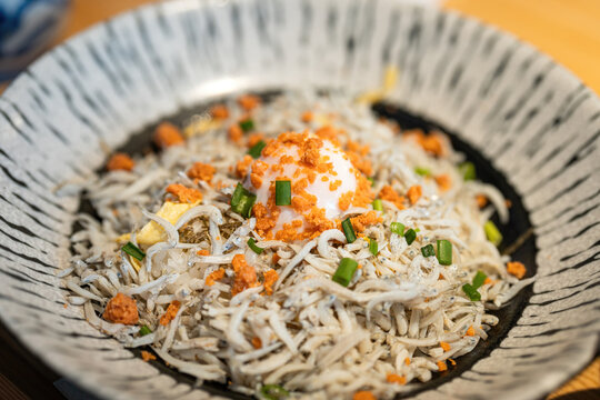 Shirasu or whitebait, small sardine fish, on top of rice in the bowl. This is the famous food menu in Kamakura. Japanese cuisine object with close-up.