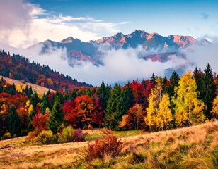 Stunning autumn landscape featuring vibrant fall foliage, evergreen trees, and majestic mountains shrouded in mist under a clear sky