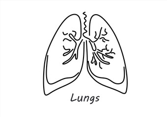 Simple Line Art Drawing of Human Lungs