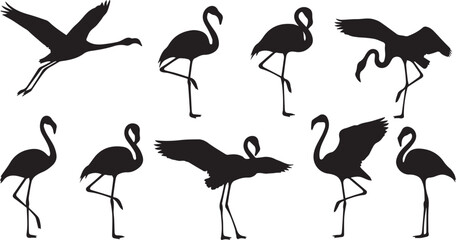 Collection of black silhouette flamingos in various poses against a white background