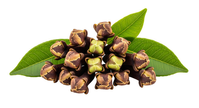 A pile of dried cloves with green leaves, isolated on transparent background