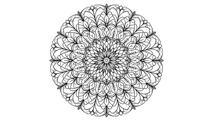 Symmetrical circular design with intricate floral and leaf-like patterns in black lines on a white background. A complex and delicate illustration