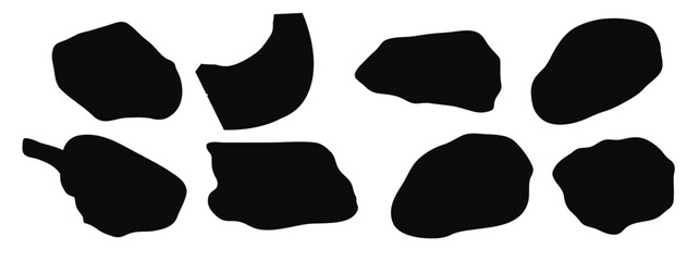 Set of chicken vector illustration