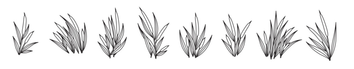 Cattails Vector Outline