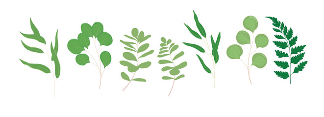 collection of greenery leaves branch twig flora plants