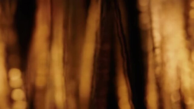 Blurry lights create a warm, dark, abstract background for texture, emotion, and website headers