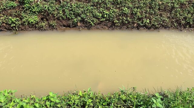 A small drainage channel with muddy brown water surrounded by green grass and soil banks. Natural irrigation waterway in rural area, suitable for agriculture, environment, or nature themes.