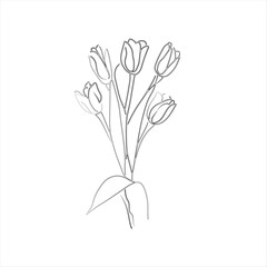 Minimalist Line Art Tulips Bouquet. 
Simple Floral Outline of Tulip Blossom Vector Art